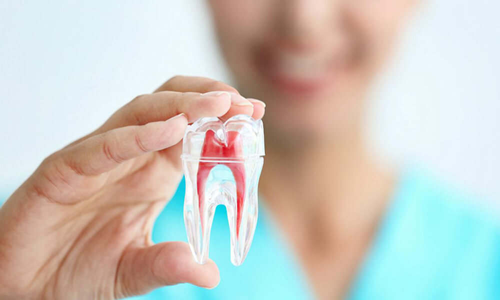 tratamiento endodoncia acedo